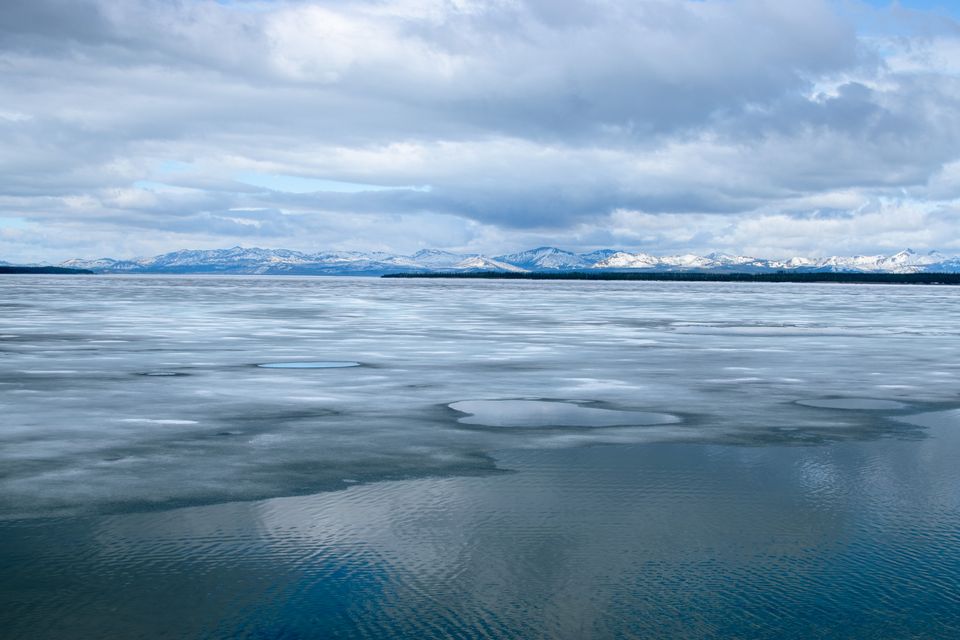 Yellowstone National Park (May 14, 2023)